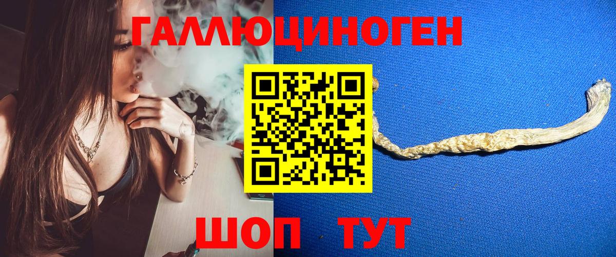 Галлюциногенные грибы Psilocybe  Псилоцибиновые грибы Psilocybe  Дубна  Вход с VPN 