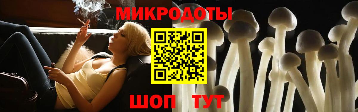 Галлюциногенные грибы мухоморы Дубна